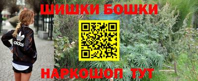 mix Будённовск