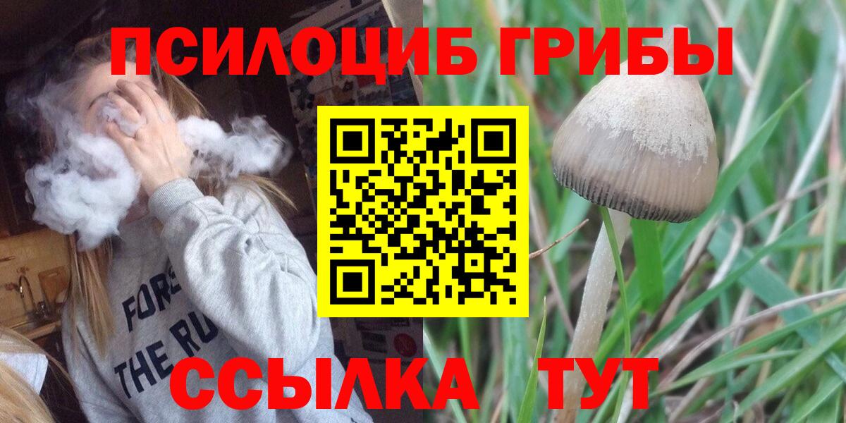 Галлюциногенные грибы мухоморы Рубцовск