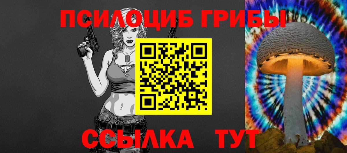 Псилоцибиновые грибы мухоморы  как найти   Рубцовск  Вход с VPN 